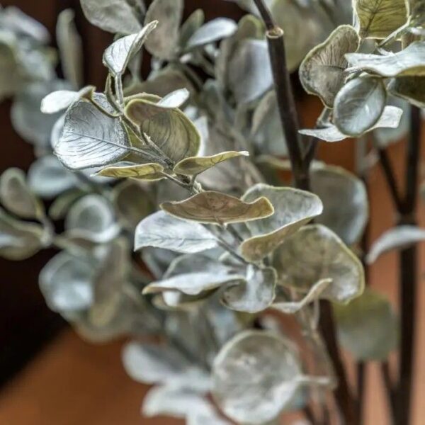 Faux Eucalyptus in Ceramic Pot Ivory - Image 3