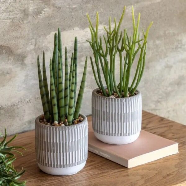 Small Succulents Ceramic Pots Set of 2 - Image 2