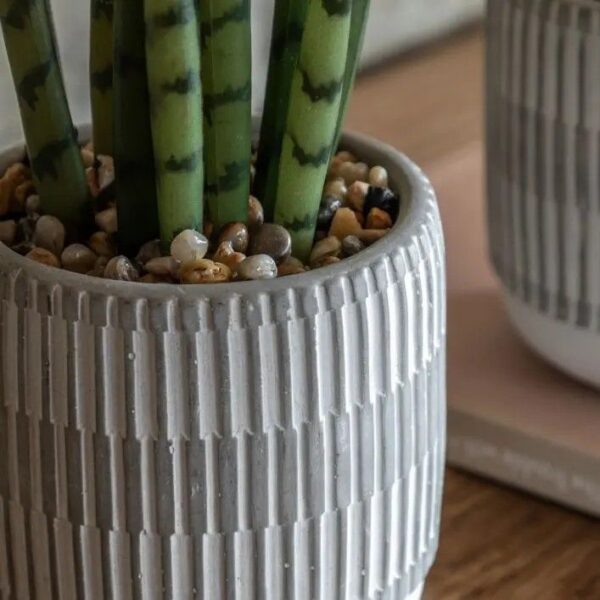 Small Succulents Ceramic Pots Set of 2 - Image 3