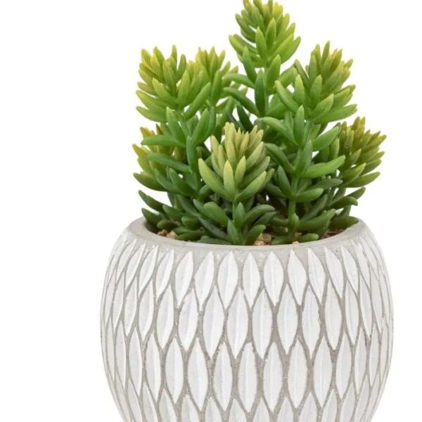 Small Succulents Ceramic Pots Set of 3 - Image 4